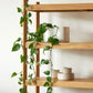 Tilt Shelf Pair of Legs 4 Tier - Oak