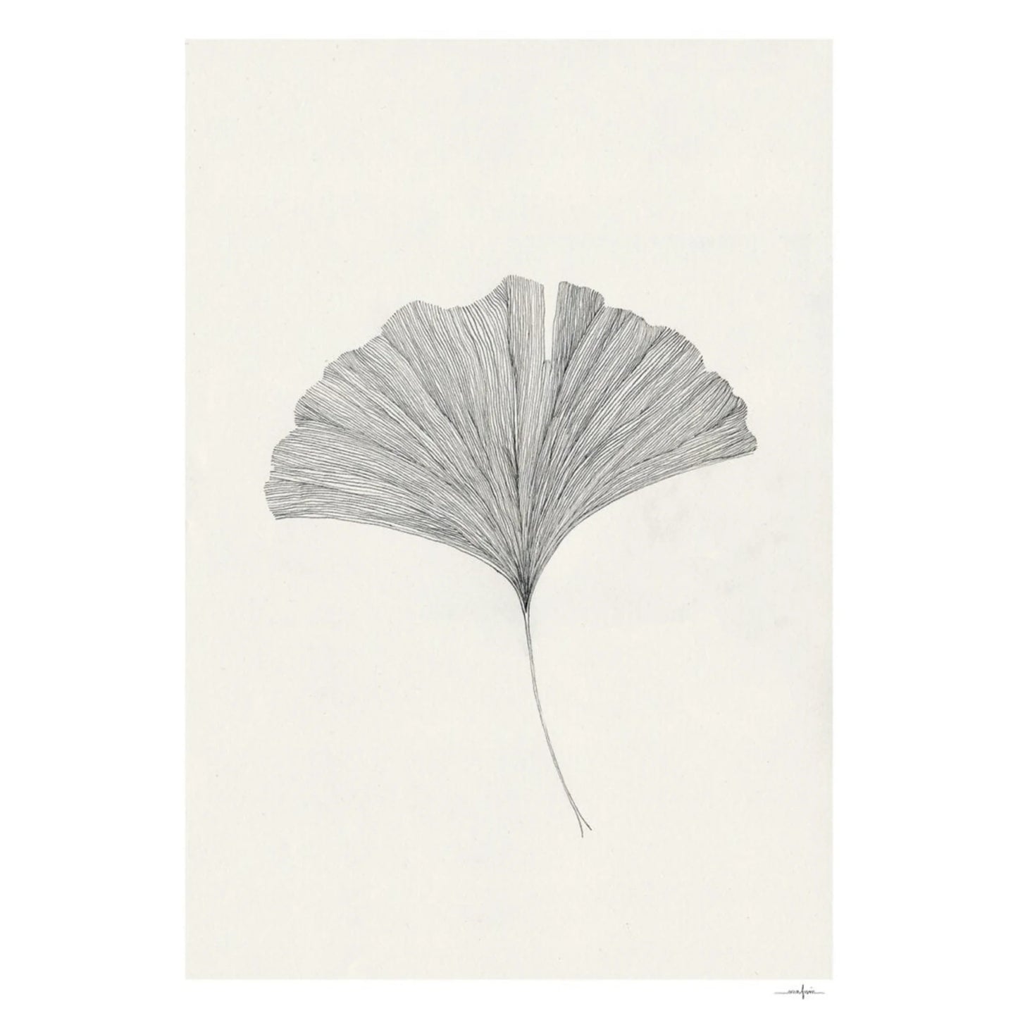 Ginkgo Leaf Print 21Cm x 29.7Cm