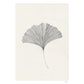 Ginkgo Leaf Print 21Cm x 29.7Cm