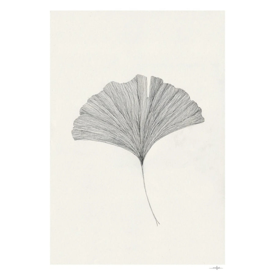 Ginkgo Leaf Print 40Cm x 50Cm