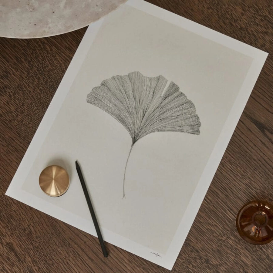 Ginkgo Leaf Print 50Cm x 70Cm