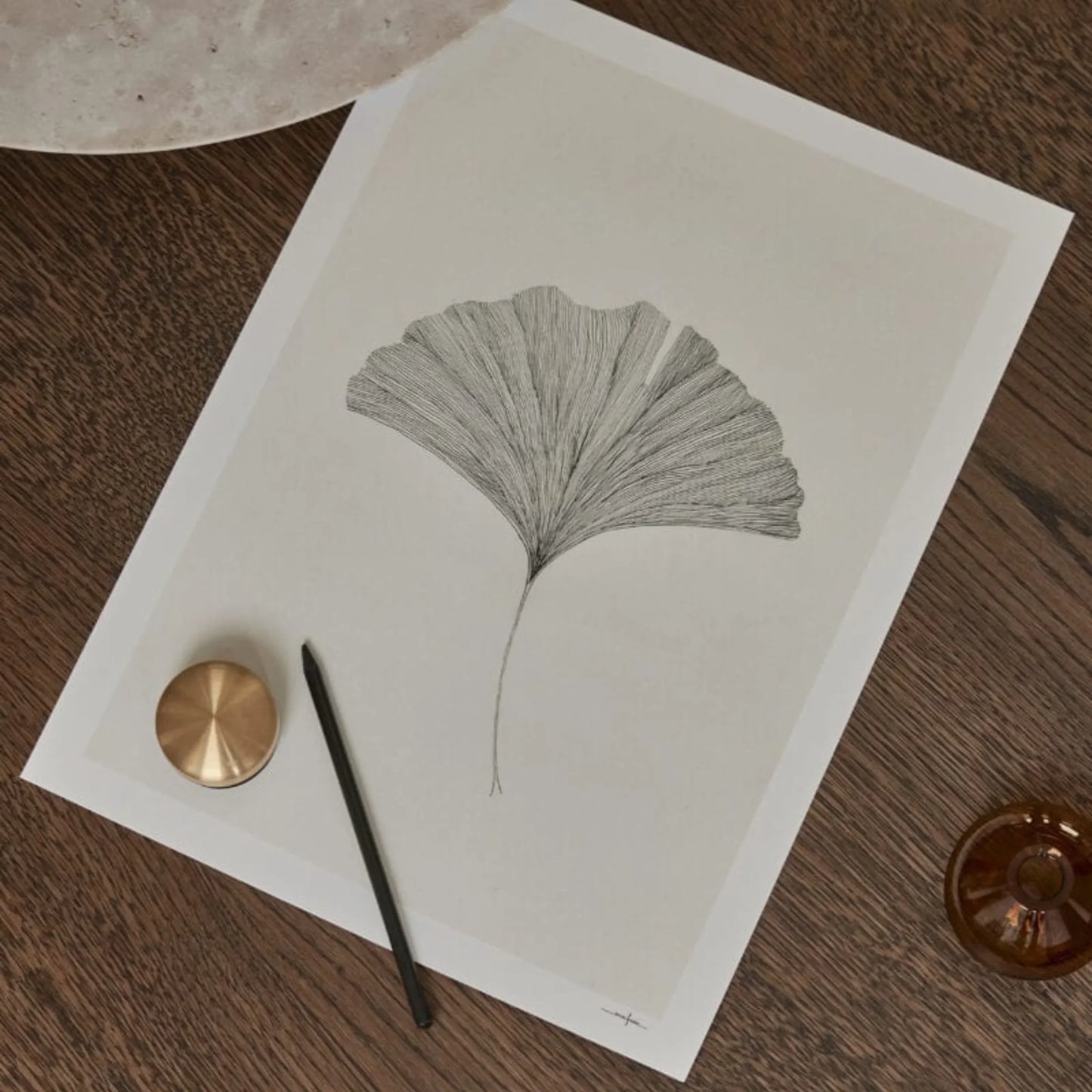 Ginkgo Leaf Print 30Cm x 40Cm