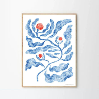 Fruits Print 40Cm x 50Cm