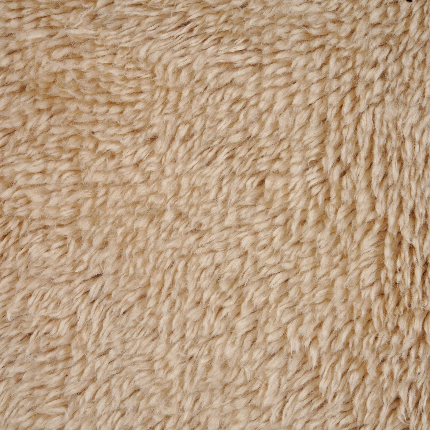 Cozy Rug - Beige 200cm x 300cm