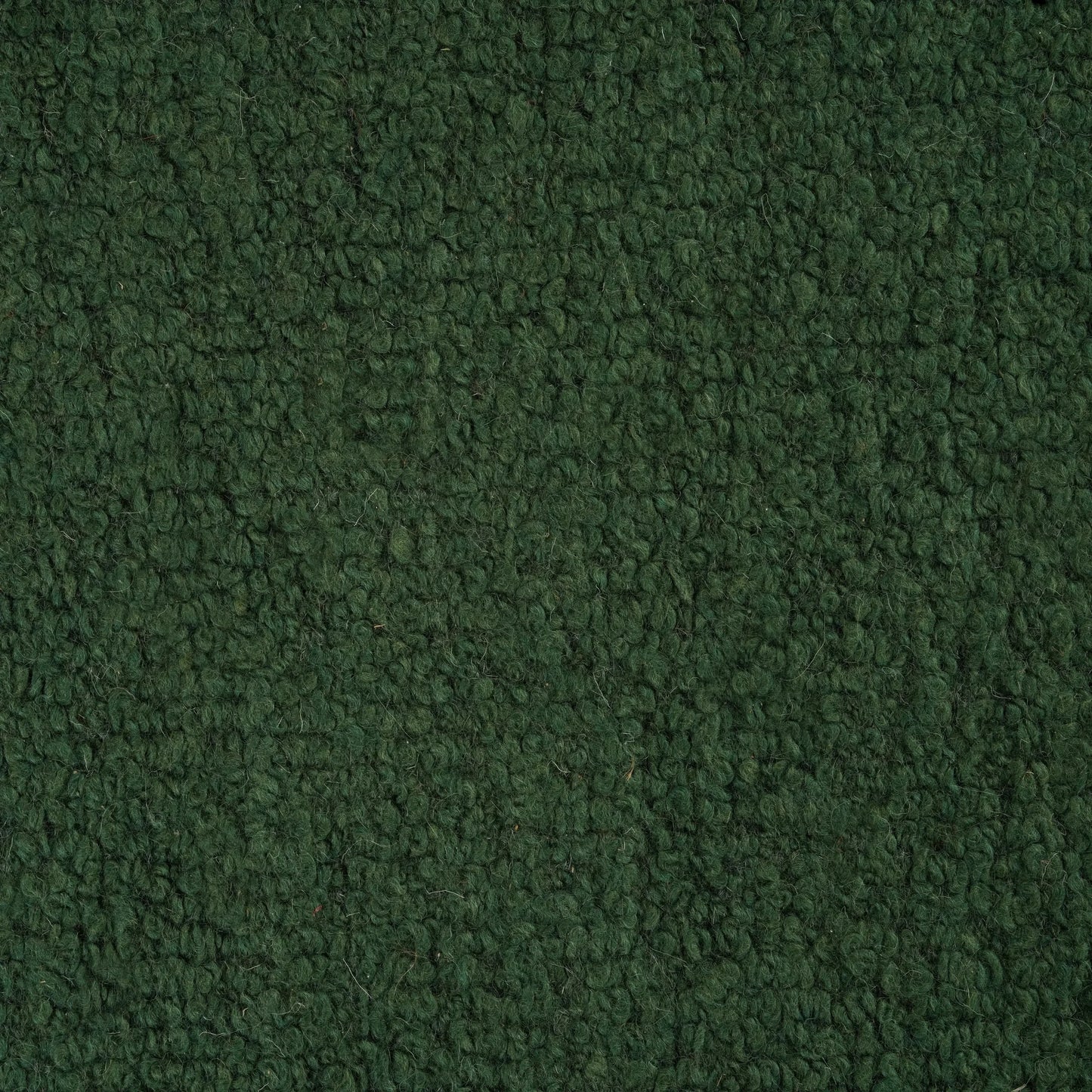 Plush Rug - Emerald 250cm x 350cm